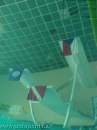 Zv�t�it