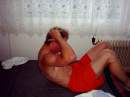 Zv�t�it