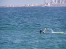 Zv�t�it