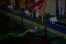 Zv�t�it