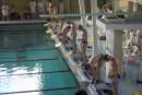 Zv�t�it