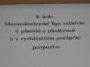 Zv�t�it