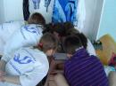 Zv�t�it