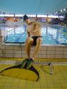 Zv�t�it