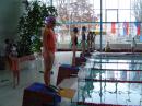 Zv�t�it