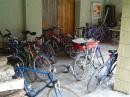 Zv�t�it
