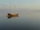 Zv�t�it