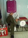 Zv�t�it