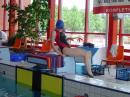 Zv�t�it