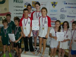 V�t�zn� �tafeta kategorie E