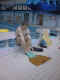 Pe�a Bezchleba se chyst� do vody